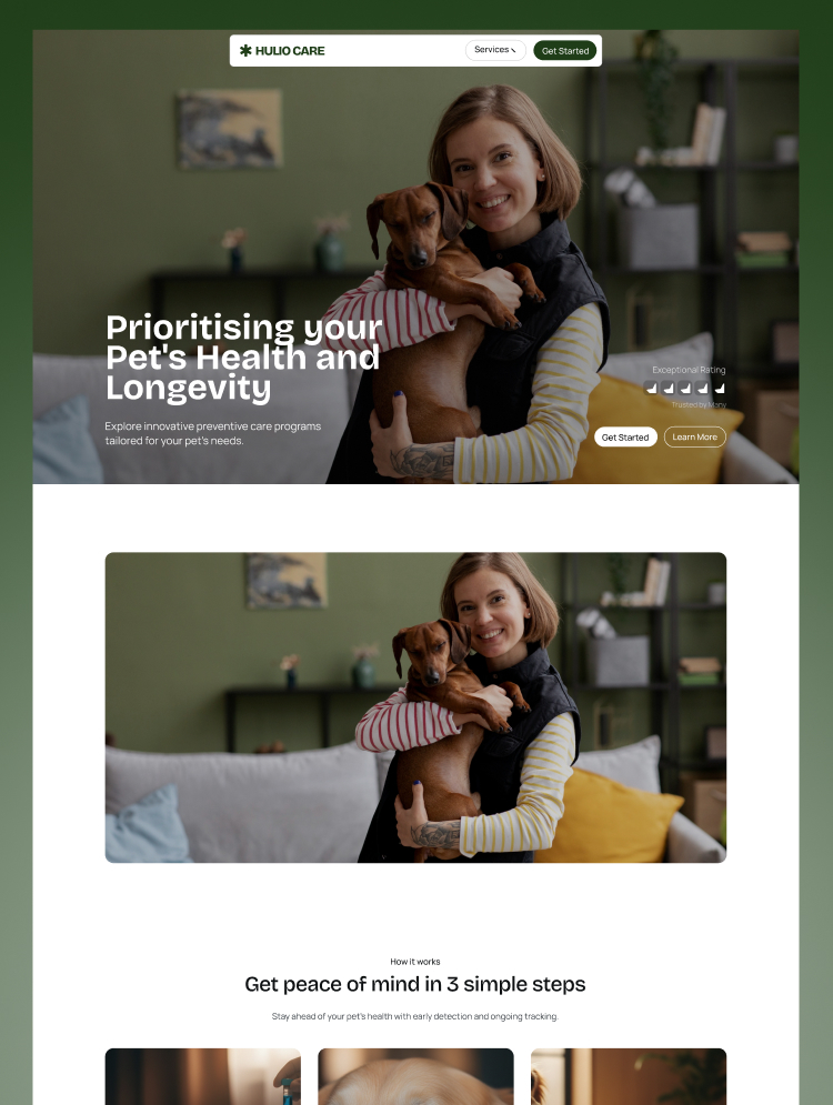 Hulio Care, a Webflow medical template by Wedoflow